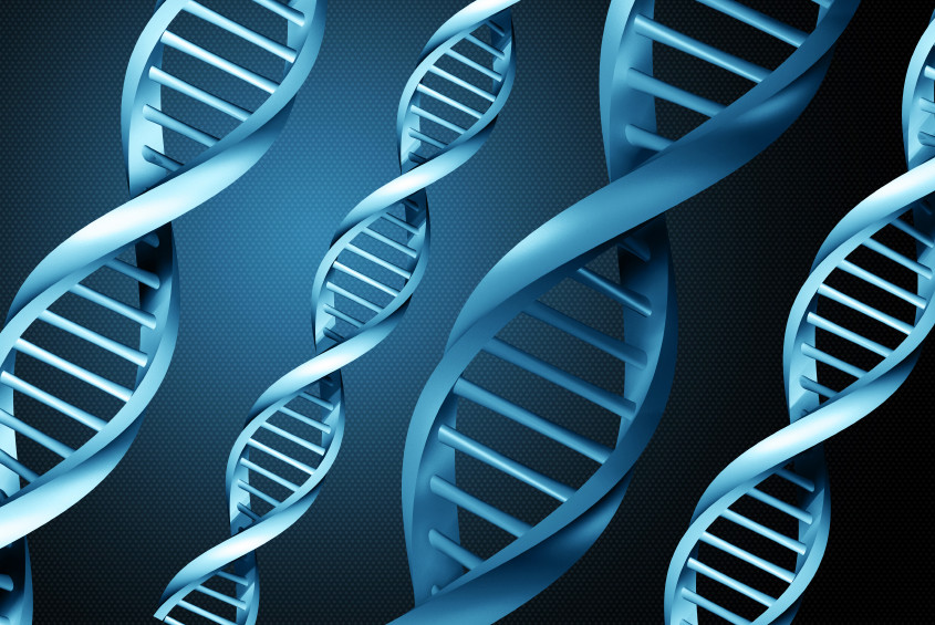 Dna Testing Freedom 4 Life Fitness